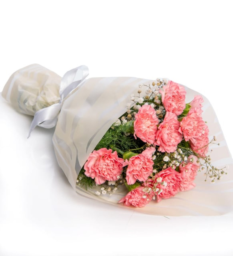 Romantik Leopar Krem Bukette Pembe Karanfiller ve Cipsolar