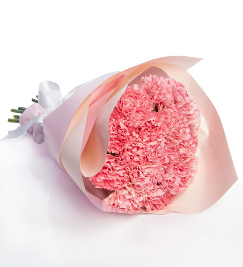 Zarif Pudra Bukette Pembe Karanfiller