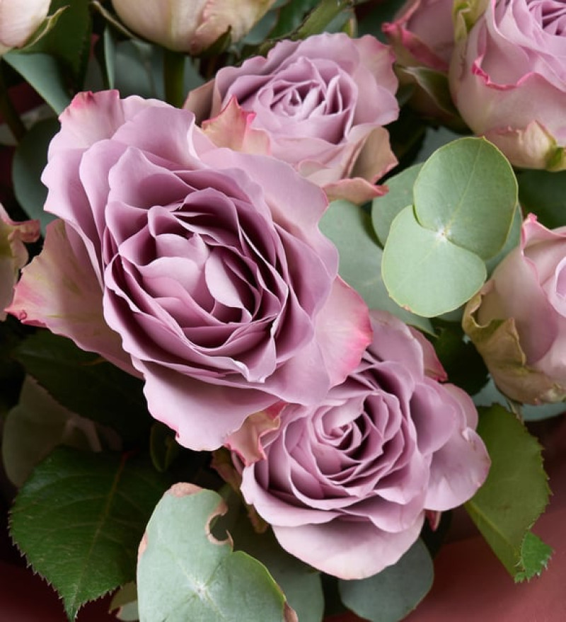Romantik Koyu Somon Bukette 10 Lila Gül