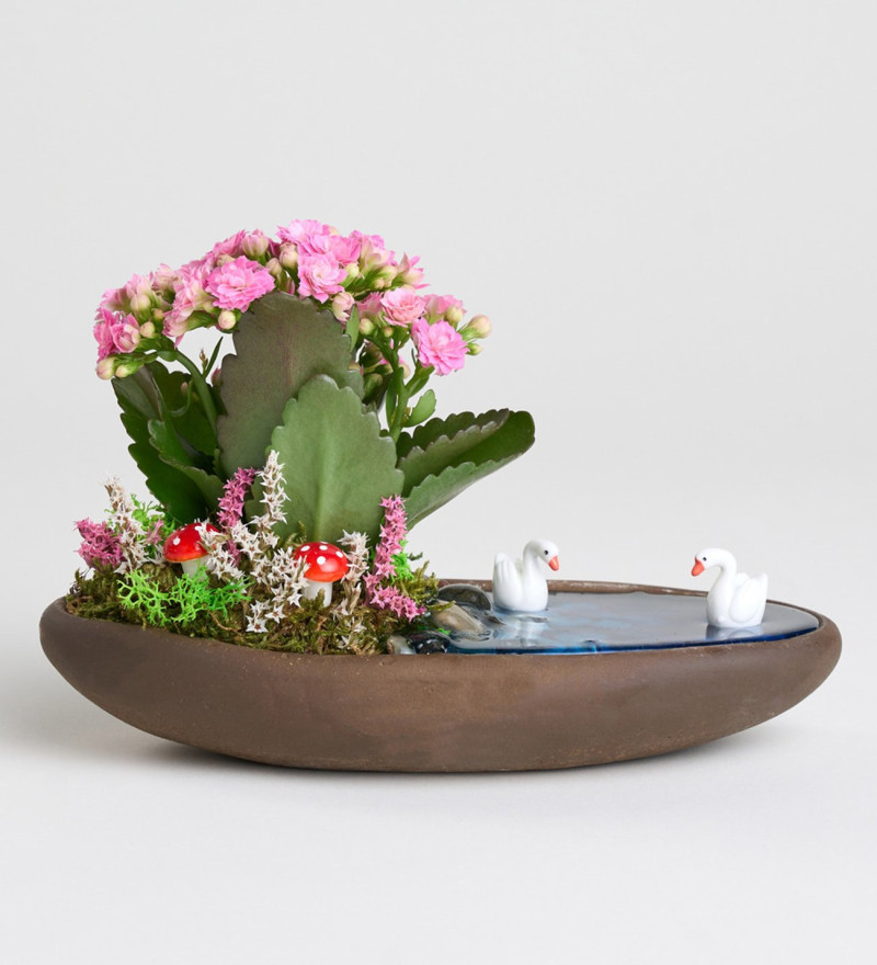 Seçkin Dekor Saksıda Pembe Kalanchoe Teraryum