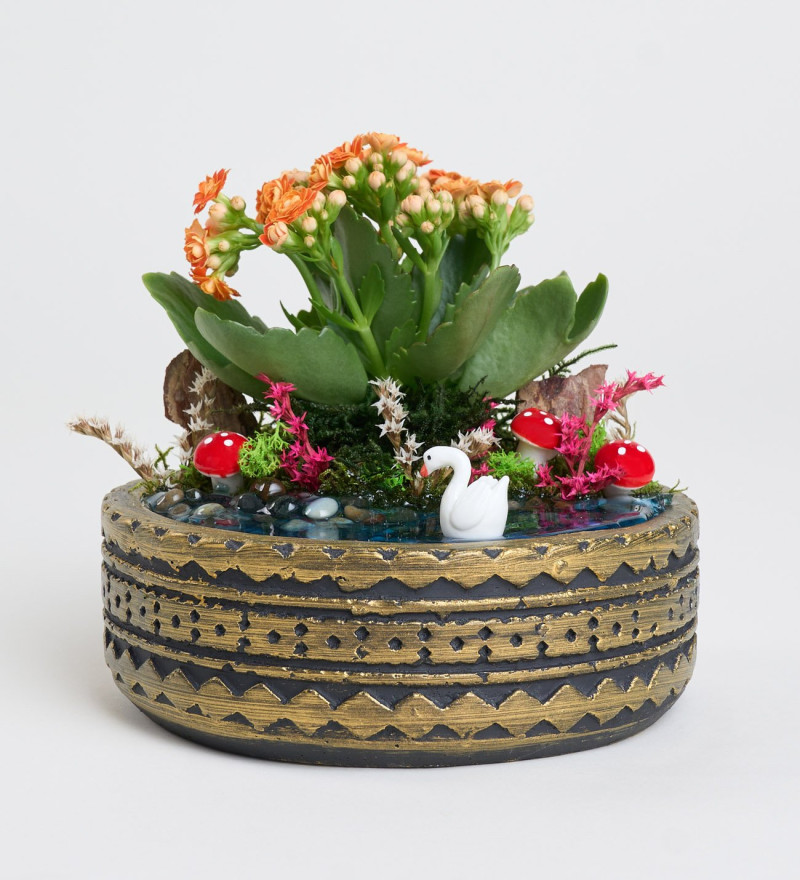 Şık Ring Saksıda Turuncu Kalanchoe Teraryum
