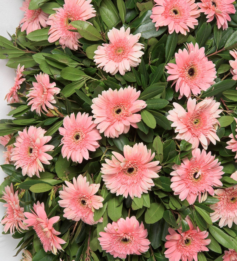 Özel Tek Katlı Büyük Pembe Gerbera Çiçekli Çelenk