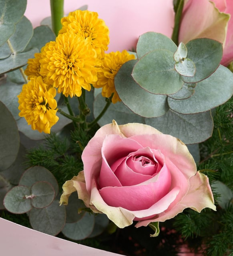 Lüks Pembe Bukette Pembe Güller ve Sarı Top Krizantemler