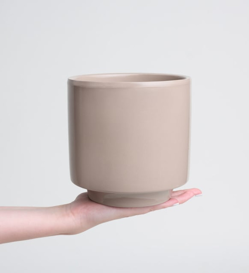 Doğal Gri Beton Saksıda Antoryum - Flamingo Çiçeği