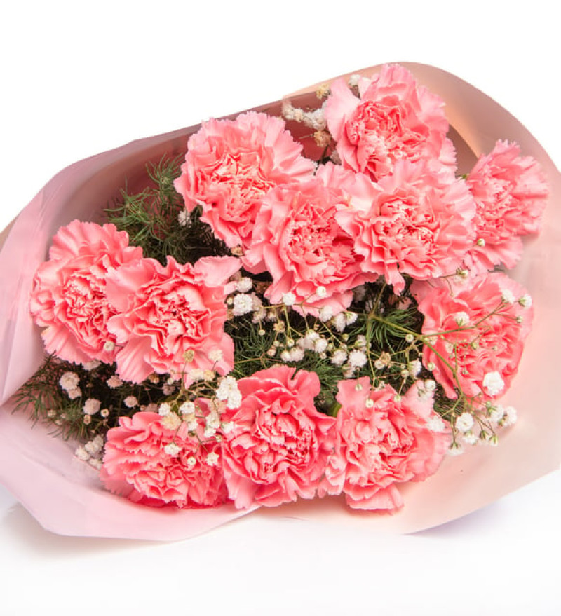 Premium Pudra Bukette Pembe Karanfiller ve Cipsolar
